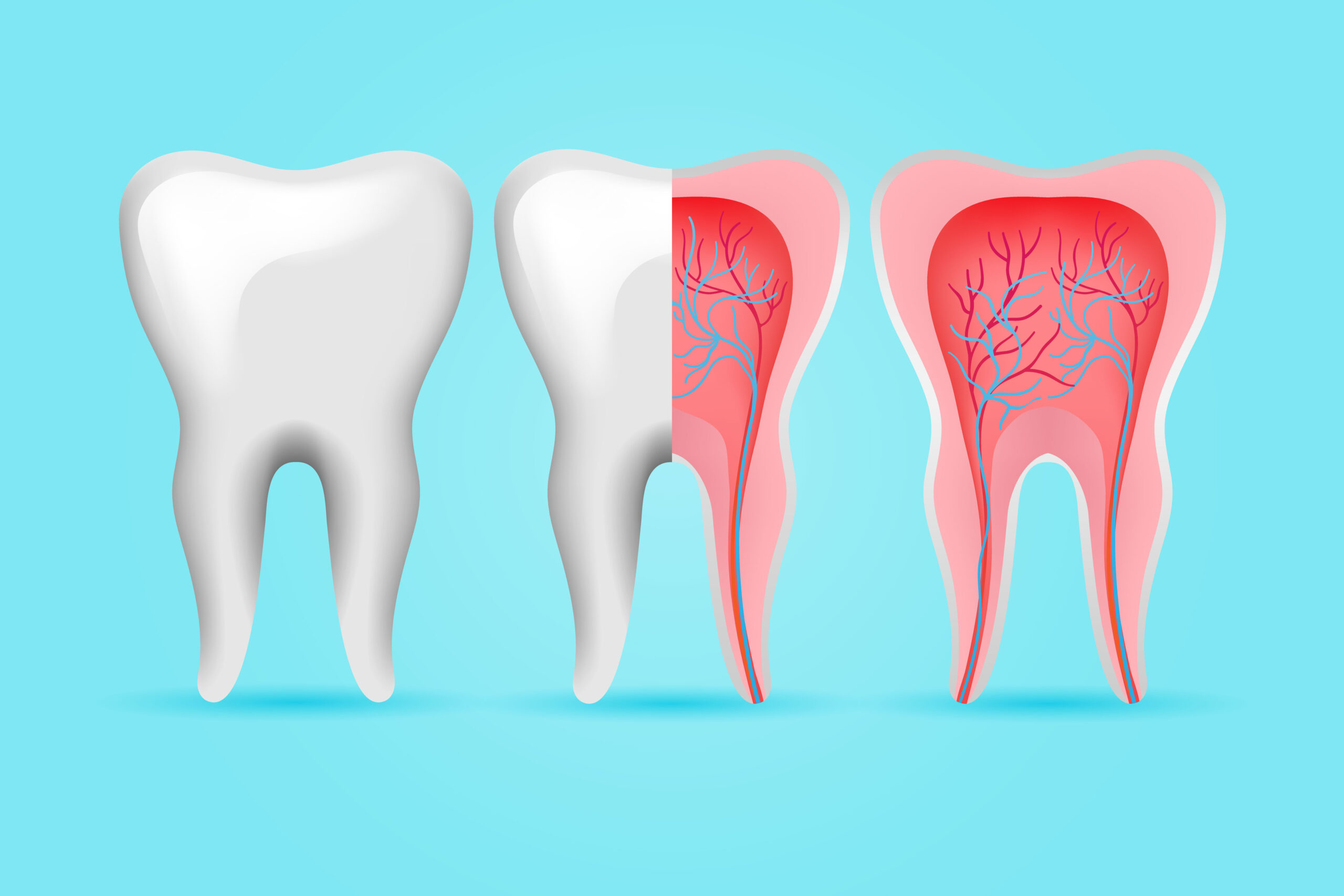 Internal and external tooth set